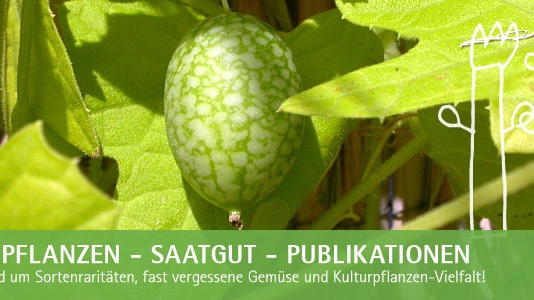 ARCHE NOAH Webshop - Design & Programmierung, Magento
