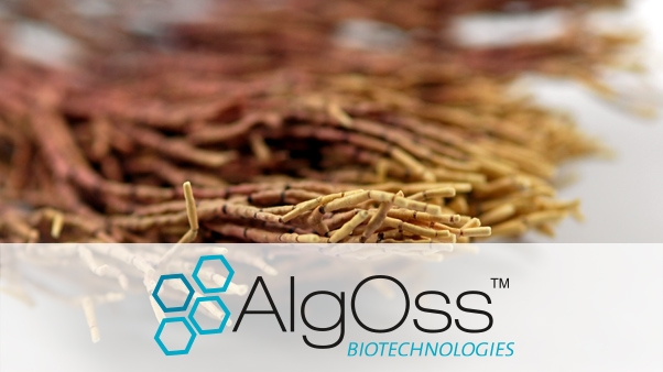 AlgOss Biotechnologies Superfeature 3