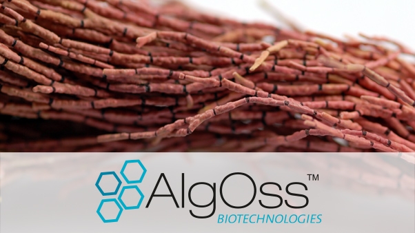 AlgOss Biotechnologies Superfeature 5